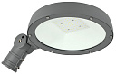 Светильник LED ДКУ Парк 2001-40Д 5000К IP65 IEK-Светильники уличные - купить по низкой цене в интернет-магазине, характеристики, отзывы | АВС-электро