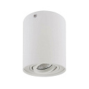 Накладной светильник  052016 LightStar-Светотехника - купить по низкой цене в интернет-магазине, характеристики, отзывы | АВС-электро